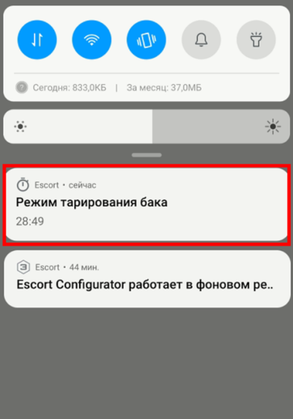 Файл:Таймер режима тарировки.png